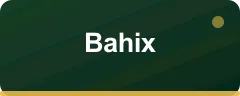 Bahix logosu