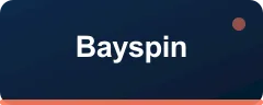 Bayspin logosu