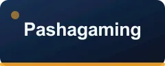 Pashagaming logosu