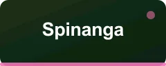 Spinanga logosu